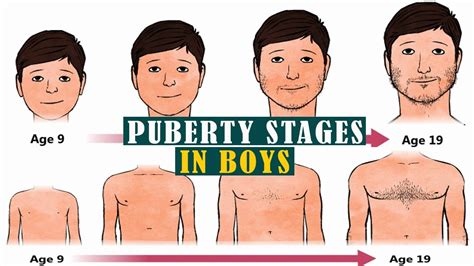 fat naked teen|Stages of Puberty Explained in Pictures